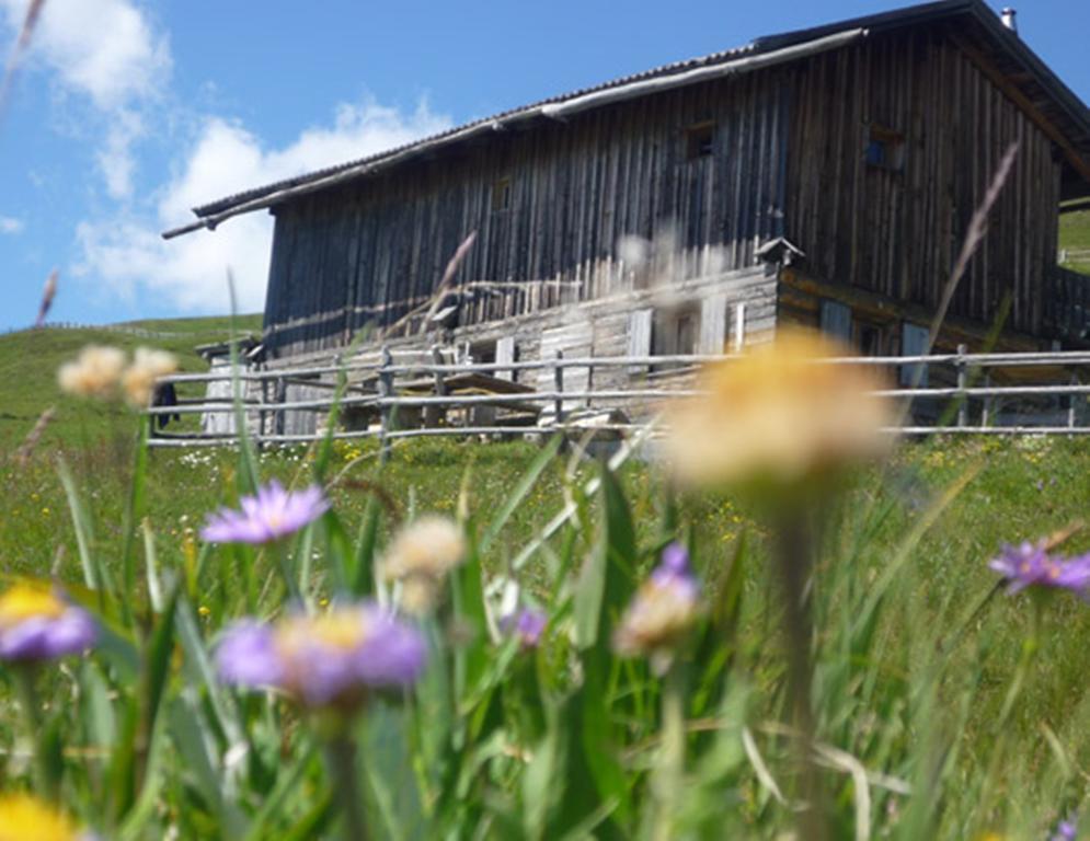 Apartamento Bauernof Mittermüller Velturno Exterior foto